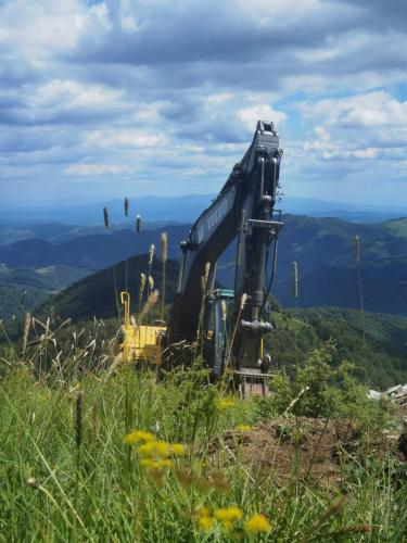 viber image 2024-03-17 16-29-06-697