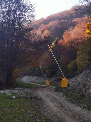 viber image 2024-03-17 16-29-06-938